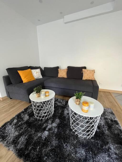 Superbe Appartement Moderne En Rez-De-Chaussee Ozoir-la-Ferriere Luaran gambar