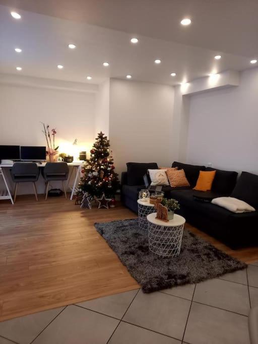 Superbe Appartement Moderne En Rez-De-Chaussee Ozoir-la-Ferriere Luaran gambar