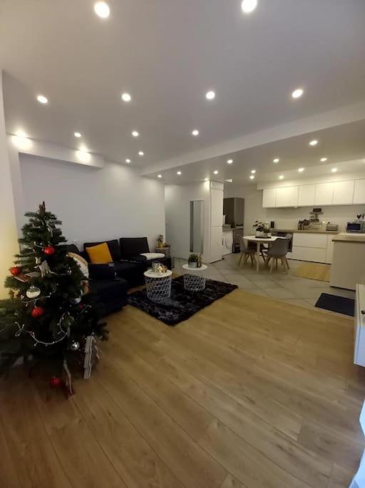 Superbe Appartement Moderne En Rez-De-Chaussee Ozoir-la-Ferriere Luaran gambar